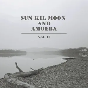 Sun kil moon & Amoeba : vol. II